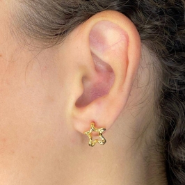 BRINCO PEQUENO CRAVEJADO ESTRELA VAZADA ENROLADA