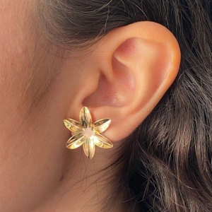 BRINCO FLOR LISA COM 5 PETOLA 24X24 MM