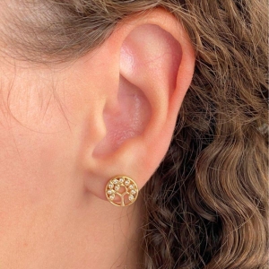 BRINCO PEQUENO CRAVEJADO CIRCULO COM ARVORE DA VIDA