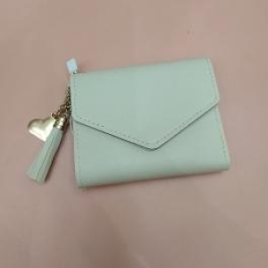 CARTEIRA MODELO CARTA