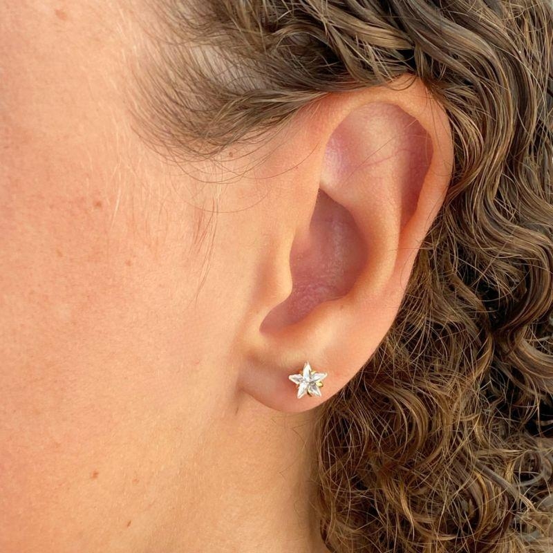 BRINCO PEQUENO ZIRCONIA ESTRELA M 6MM COM 1 PEDRA GARRINHA