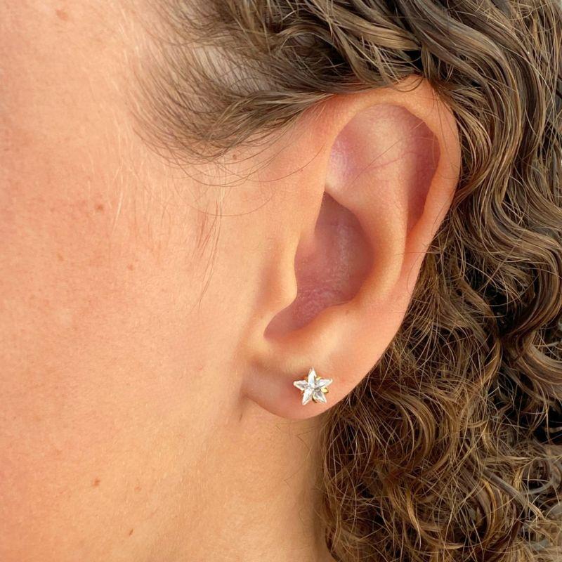 BRINCO PEQUENO ZIRCONIA ESTRELA M 6MM COM 1 PEDRA GARRINHA
